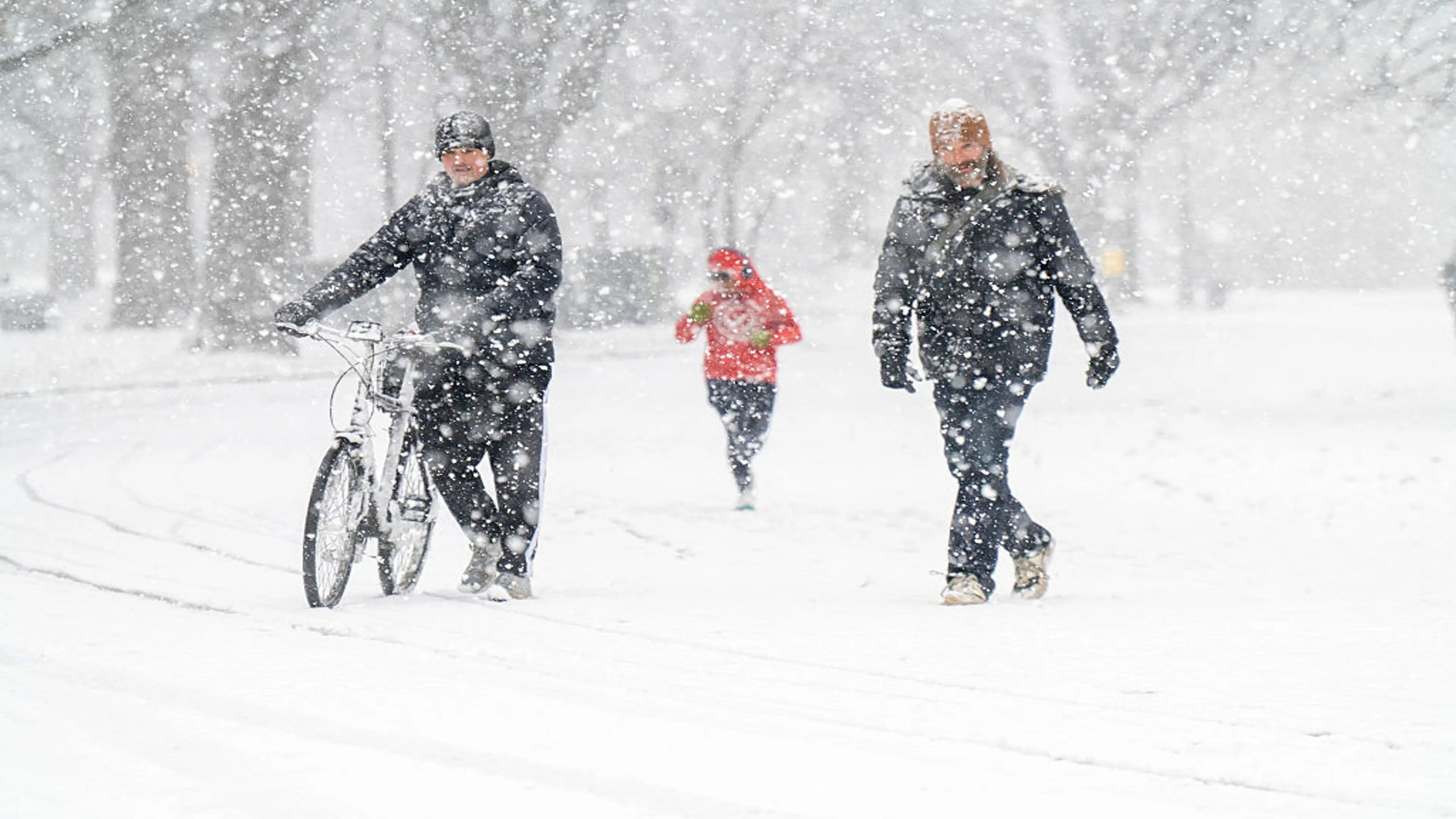 Best Time to Experience Extreme Cold